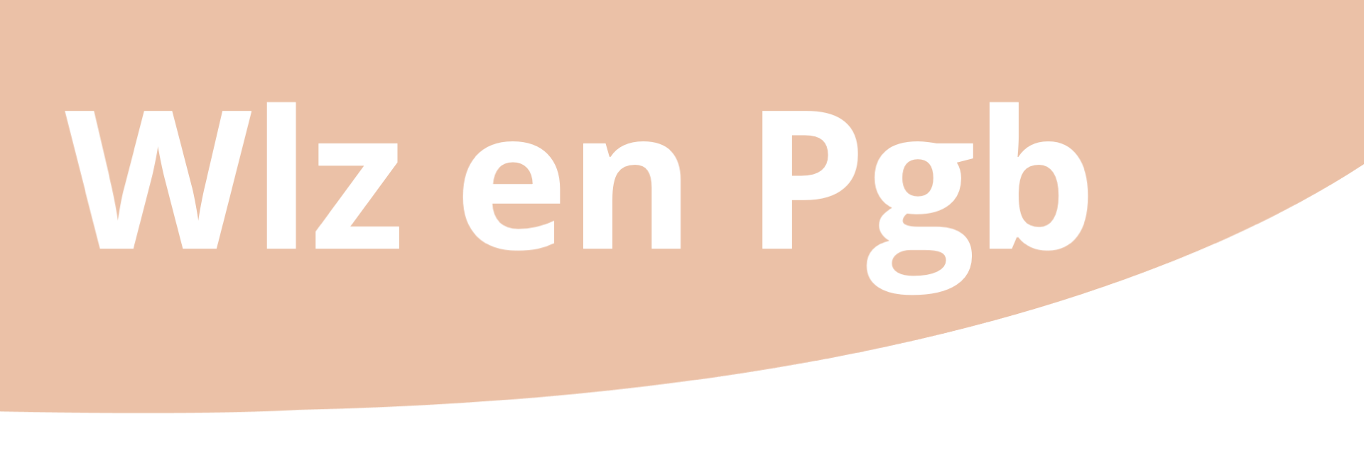 Wat betekenen de termen WLZ en PGB? - Omzorg